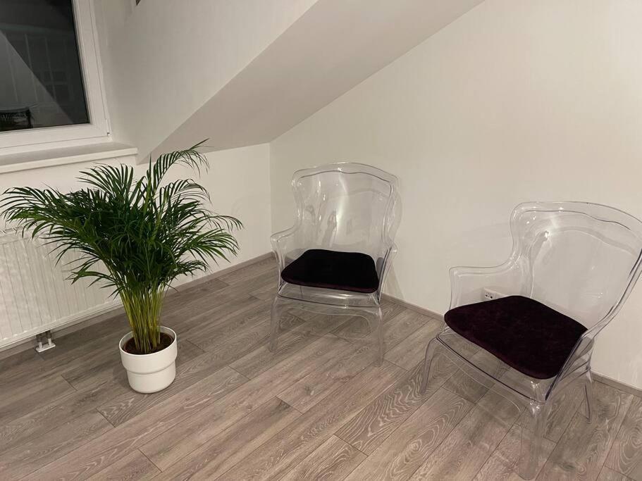 ウィーンDachterrasse Fuer 4 Personenアパートメント エクステリア 写真